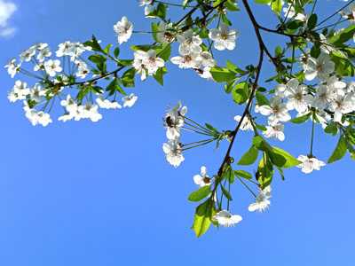 3-Tips-to-Make-Sure-Your-HVAC-is-ReadY-for-Spring-HVAC-cleaning