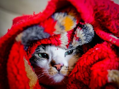 5-Tips-for-Saving-on-Your-Energy-Bills-During-Winter-Time-lowes-air-duct