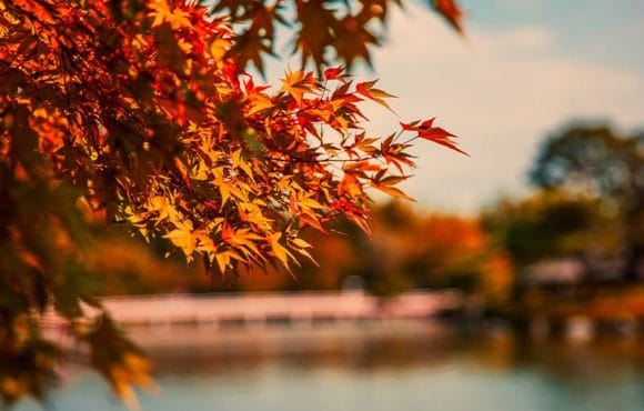 Autumn-HVAC-Maintenance-Tips-580x370