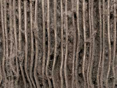 Can-you-believe-what-you-breathe-feature