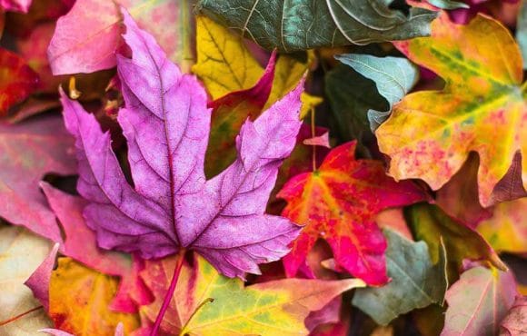 Fall-HVAC-Maintenance-Part-2-580x370