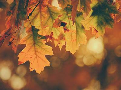 Fall-HVAC-Maintenance-featured-image