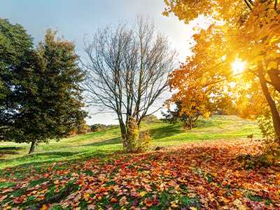 HVAC-Tips-For-The-Fall-Season