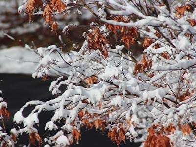 HVAC-Tips-To-Keep-You-Warm-This-Winter