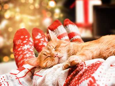 HVAC-and-Winter-Sleep