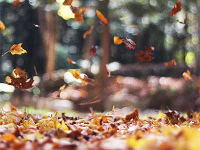 HVAC-celaning-fall-Lowes-airduct-cleaning-services