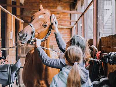 HVAC-in-Horse-Stable-blog