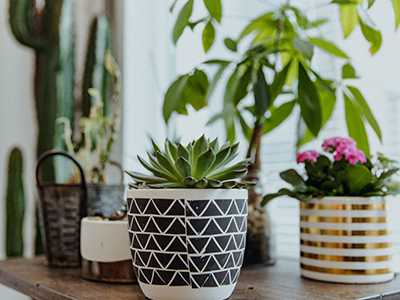 Heating-And-A-Dry-Air-Issue