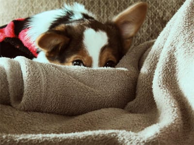 How-can-I-prevent-the-need-for-heating-repairs-400x300-1