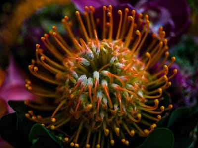 The-Spring-Allergy-What-Causes-Sneezing-and-Runny-Eyes-400x300-1