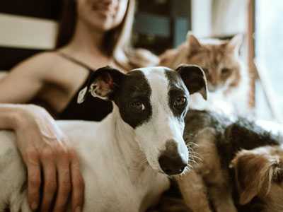 Top-3-Pet-Related-Chores-HVAC-cleaning