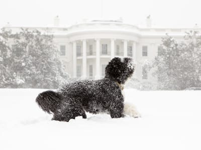 Winter-HVAC-Maintenance-in-D.C