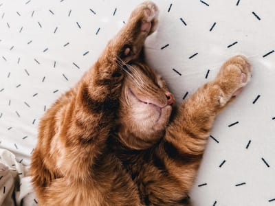 air-conditioning-lowes-air-duct-cleaning