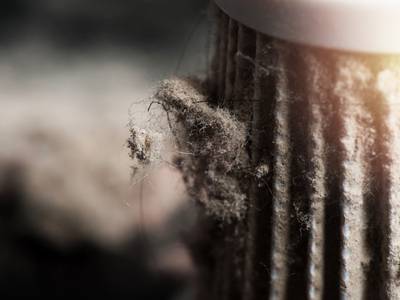 how-to-get-rid-of-dust-mites