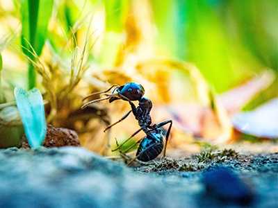 how-to-keep-bugs-away-from-air-conditioner