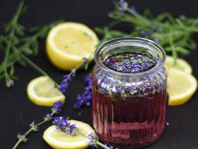 lavender-oil-featured-1