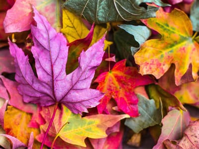 local-air-condition-cleaning-service-HVAC-lowes-air-duct-cleaning-service