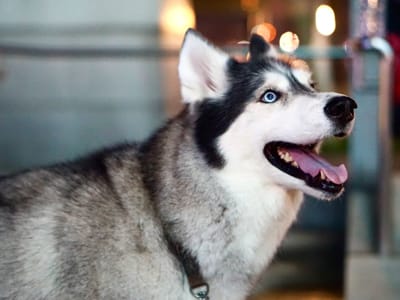 lowes-air-duct-cleaning-service-1