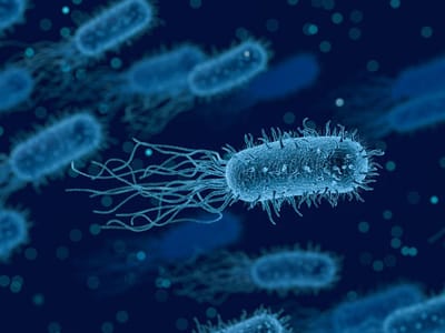 lowes-air-duct-cleaning-service-5